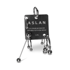 Pierced Tag Earring image 0