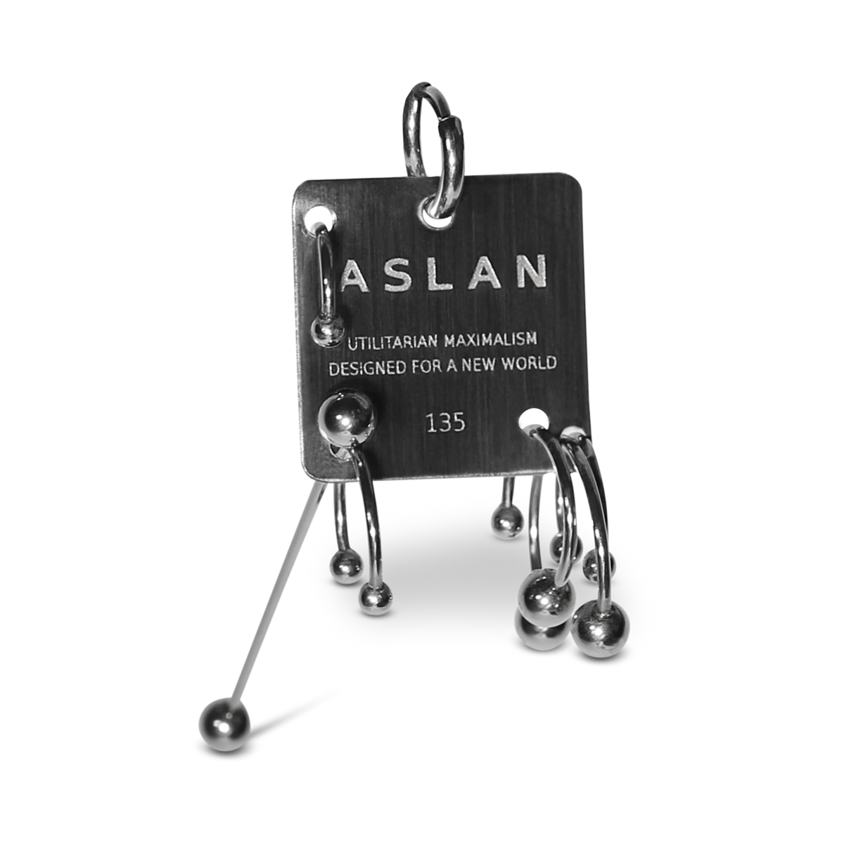 Pierced Tag Earring image 0