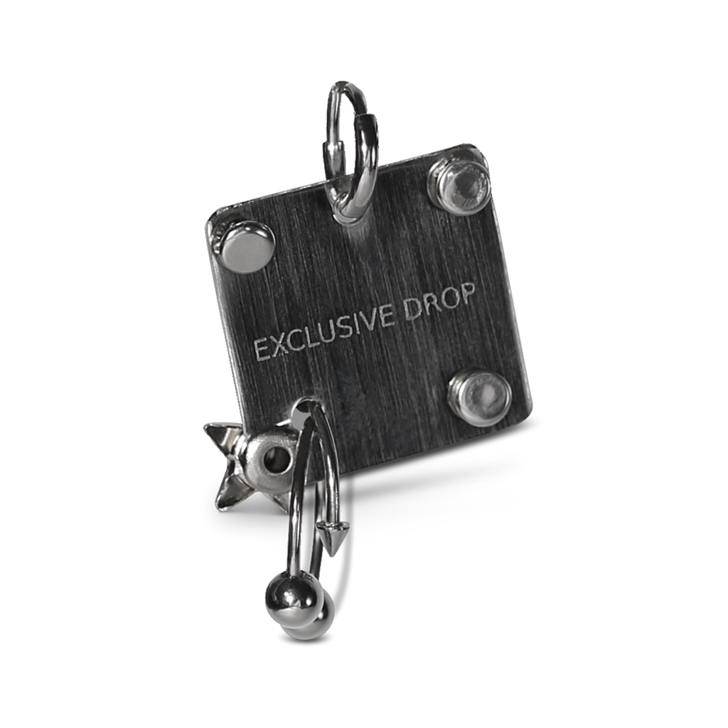 Pierced Star Tag Earring image 1