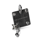 Pierced Star Tag Earring image 1