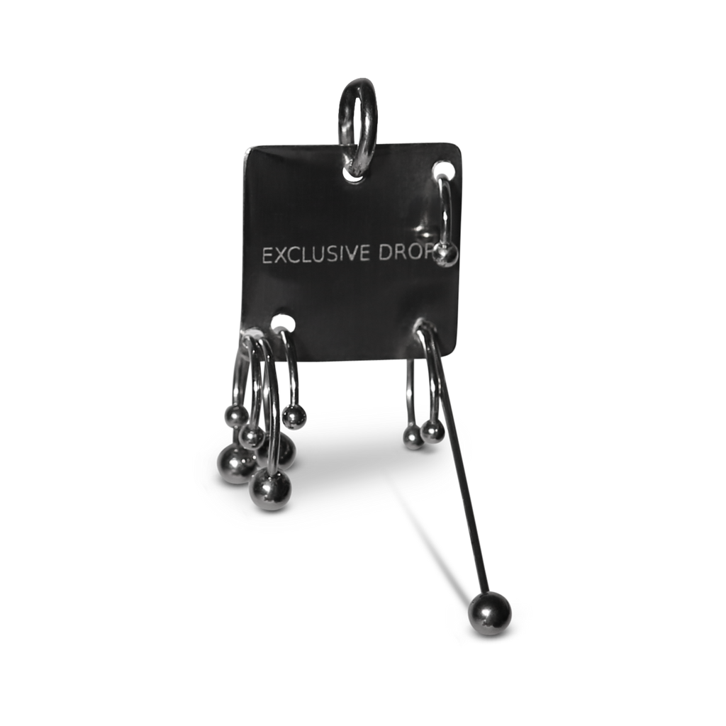 Pierced Tag Earring image 1