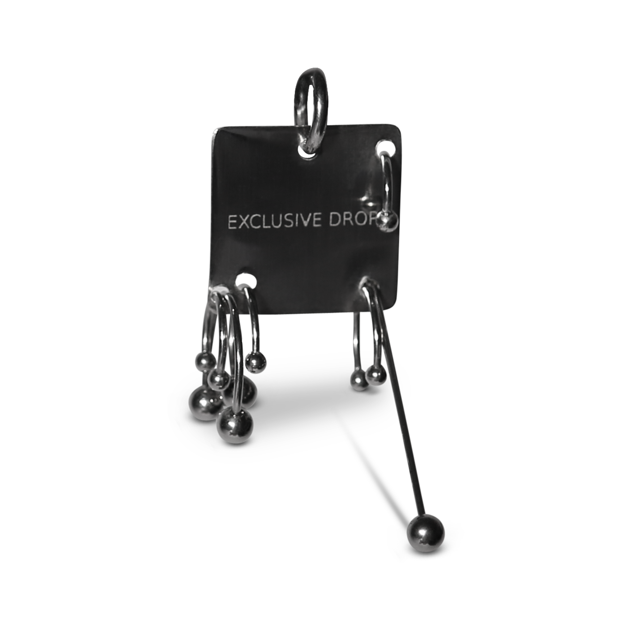Pierced Tag Earring image 1