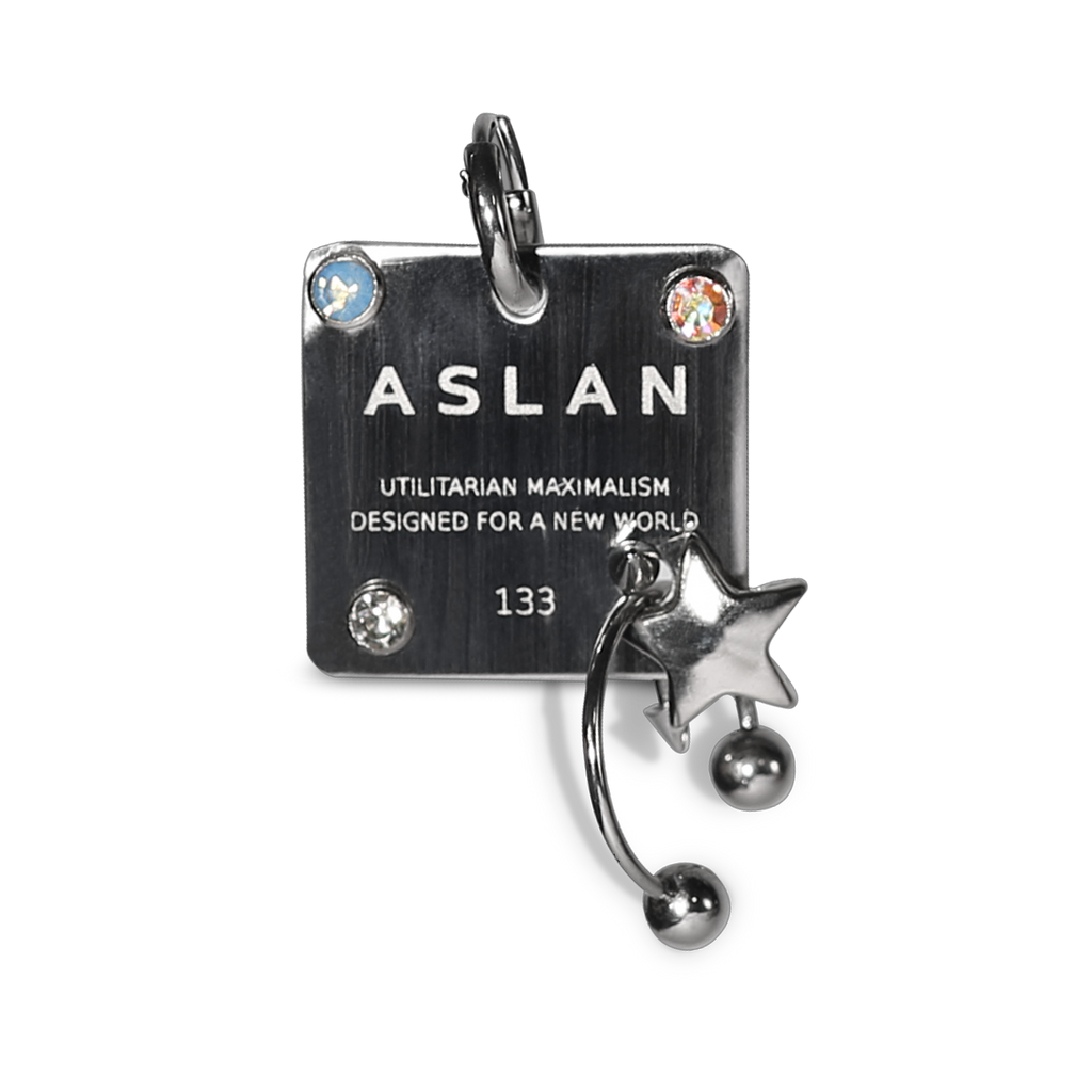 Pierced Star Tag Earring image 0